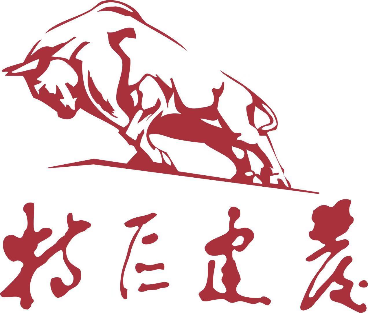 深圳市特區建發投資發展有限公司